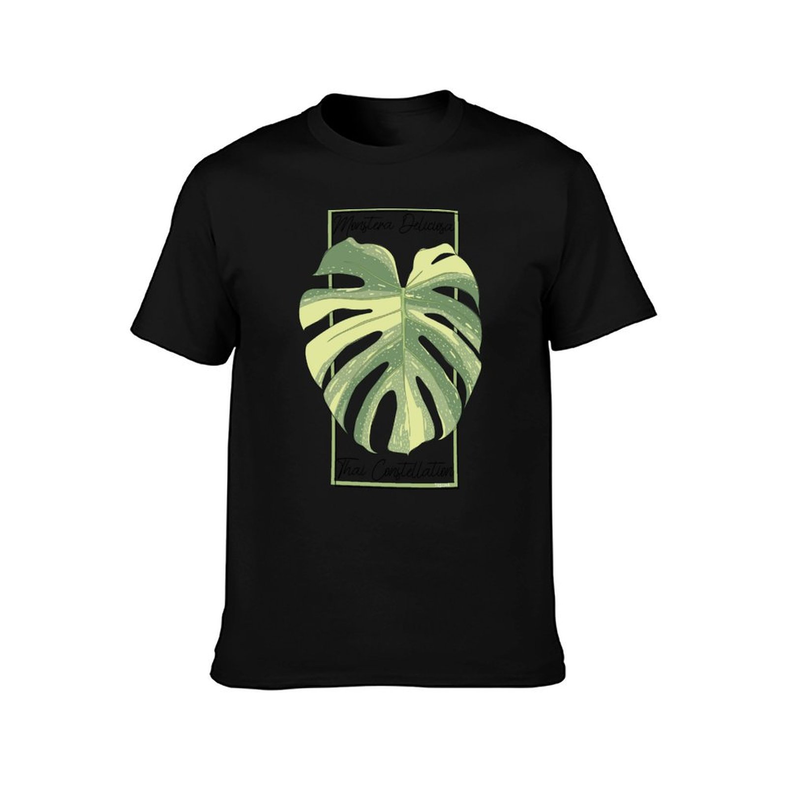 Monstera Tayland Takımyıldızı  - Monstera Thai Constellation incelemesi ve fiyatı