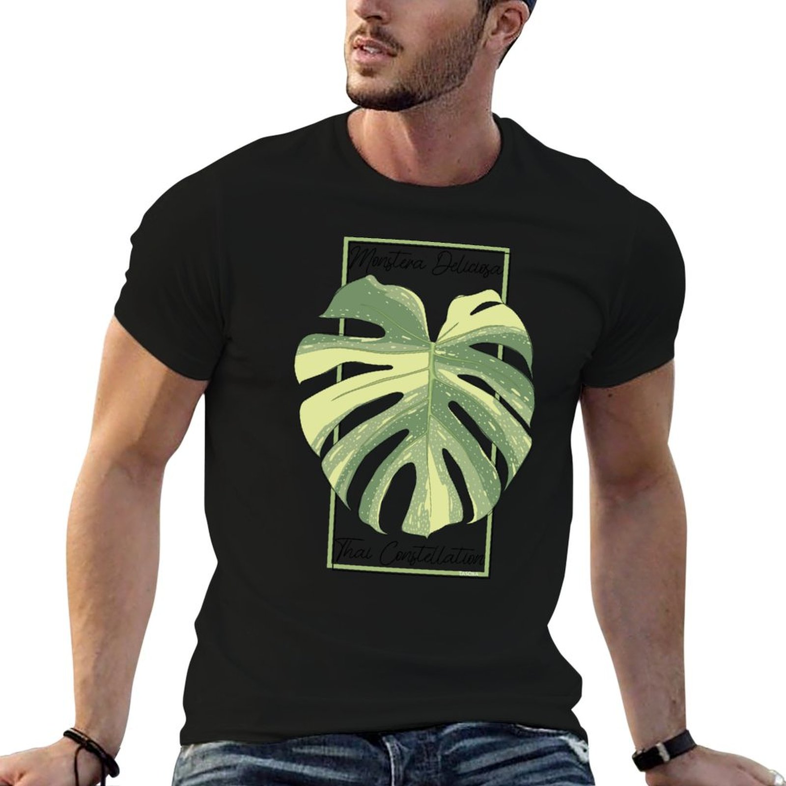 Monstera Tayland Takımyıldızı  - Monstera Thai Constellation incelemesi ve fiyatı