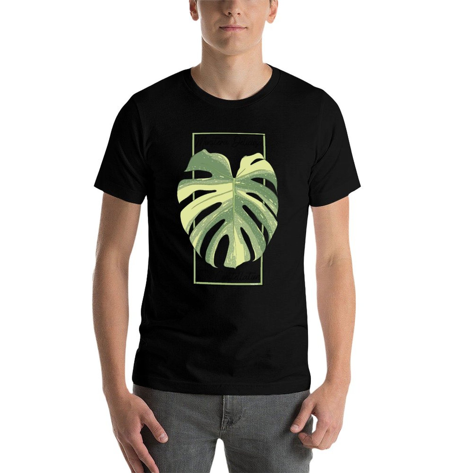 Monstera Tayland Takımyıldızı  - Monstera Thai Constellation incelemesi ve fiyatı