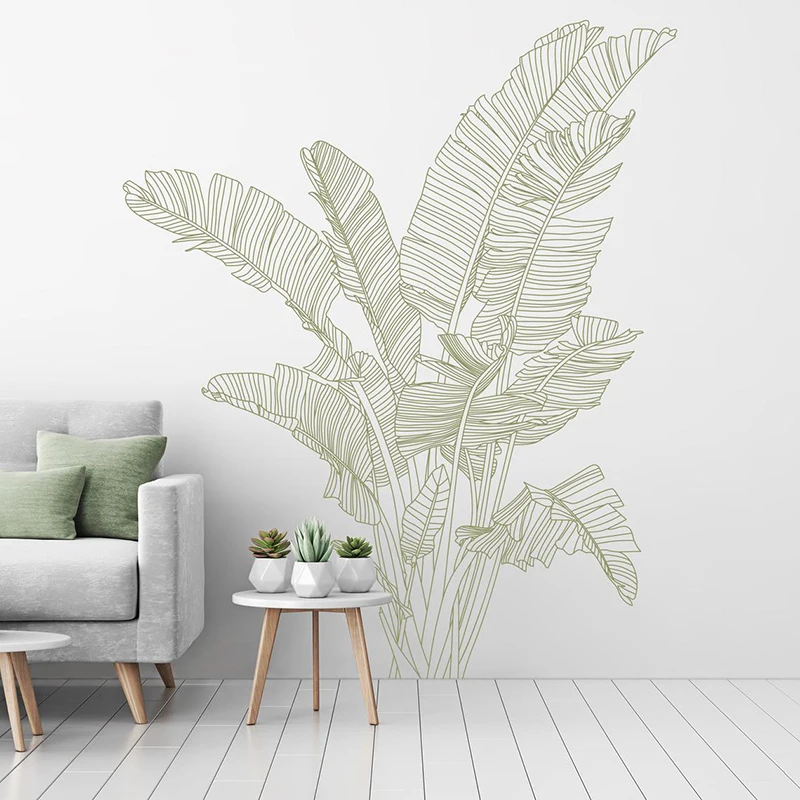Cennet Kuşu Büyük Tropikal Bit - Monstera Thai Constellation incelemesi ve fiyatı