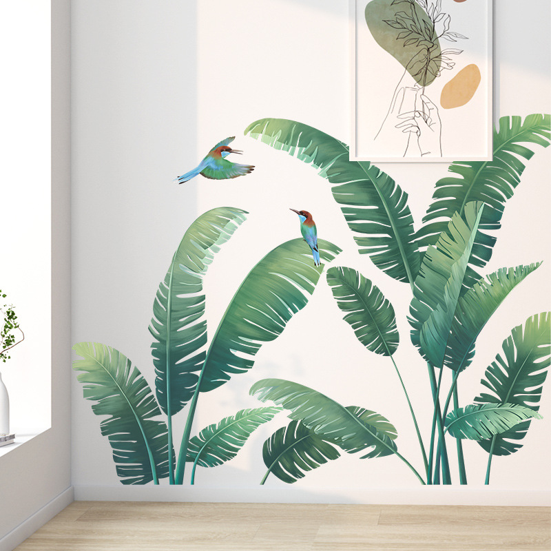 Tropikal Bitki Muz Yaprağı Vin - Monstera Thai Constellation incelemesi ve fiyatı