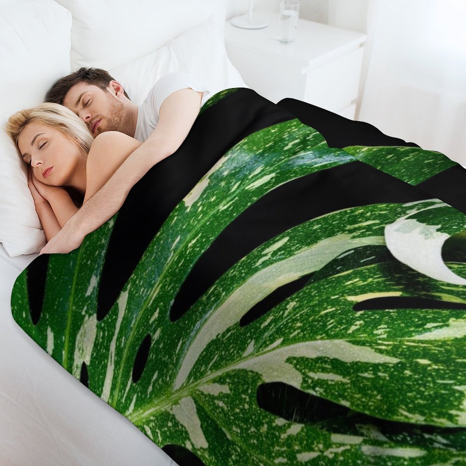 Monstera Thai Constellation De - Monstera Thai Constellation incelemesi ve fiyatı