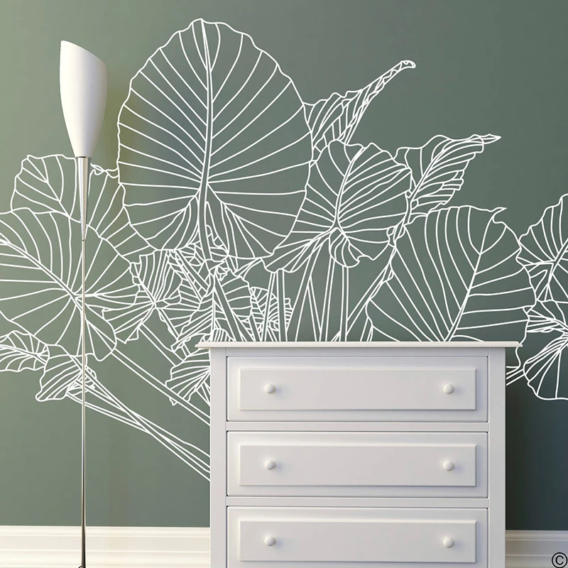 Fil kulak tropikal bitki duvar - Monstera Thai Constellation incelemesi ve fiyatı